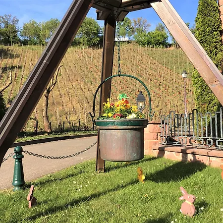 Hotel Le Mandelberg Mittelwihr