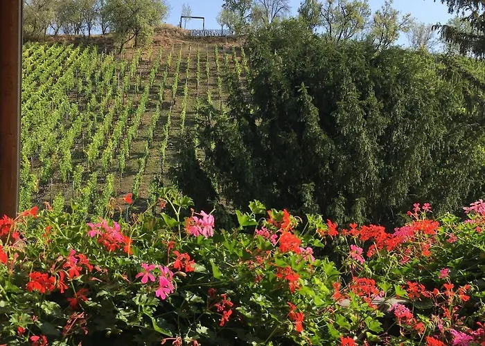 ホテル ル マンデルベール