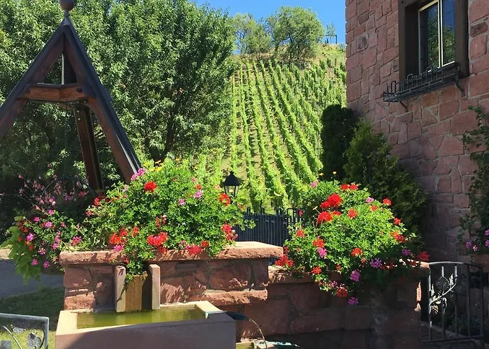 ホテル ル マンデルベール 3*